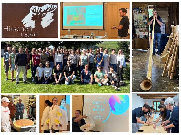 Impressions of the Retreat in Eggiwil, including a picture of the whole TKI-staff